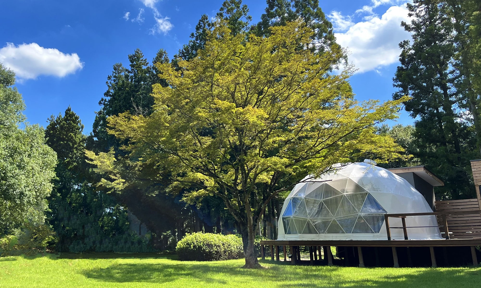 写真:グランピングドーム型テント